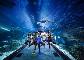 cruise-img